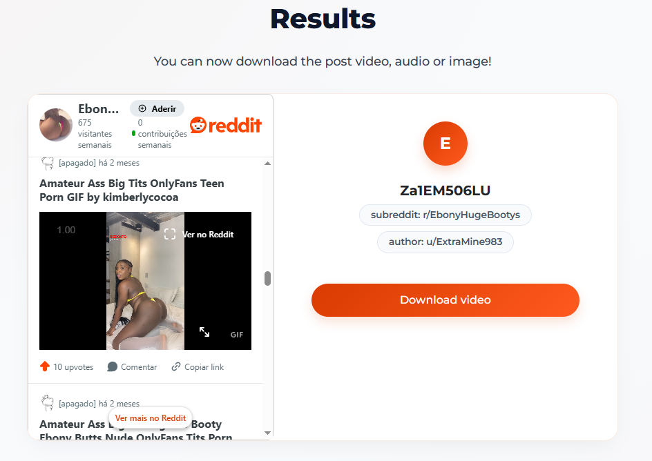 Result card with the download button