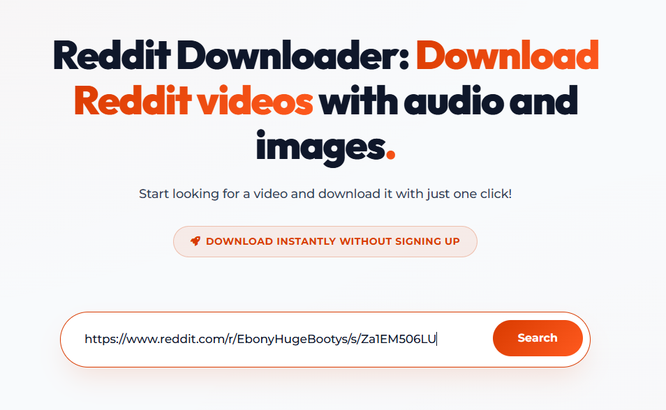 Pasting the link into RedditDownloader